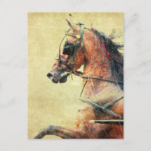 Hackney Pony Vykort