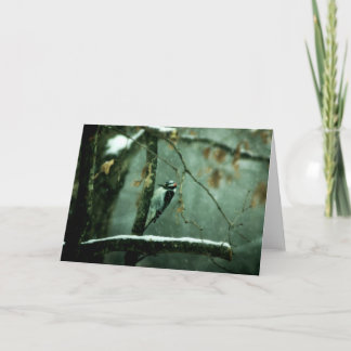 Hackspett i snöhälsningkort kort