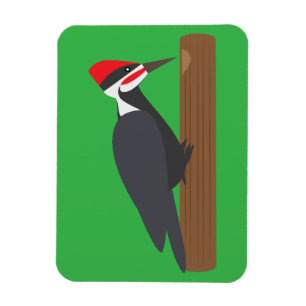 Hackspett Magnet