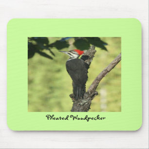 Hackspett Mousepad Musmatta