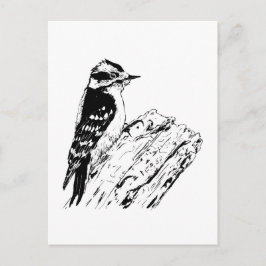 Hackspett Vykort