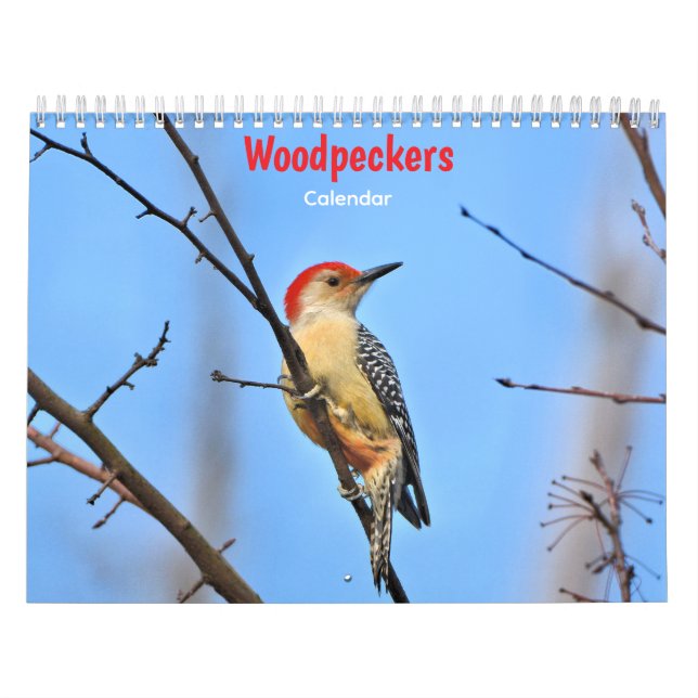 Hackspettkalender Kalender (Omslag)