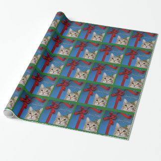Haddie flicka som slår in papper presentpapper
