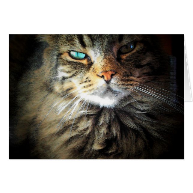Hade mig på Meow Hälsningskort (Framsidan Horizontal)
