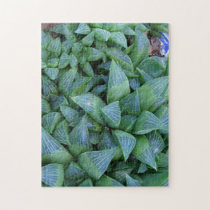 Haderiia Succulants Gardener Puzzle Pussel