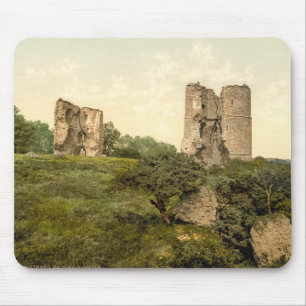 Hadleigh slott, Southend-på-Hav, Essex, England Musmatta