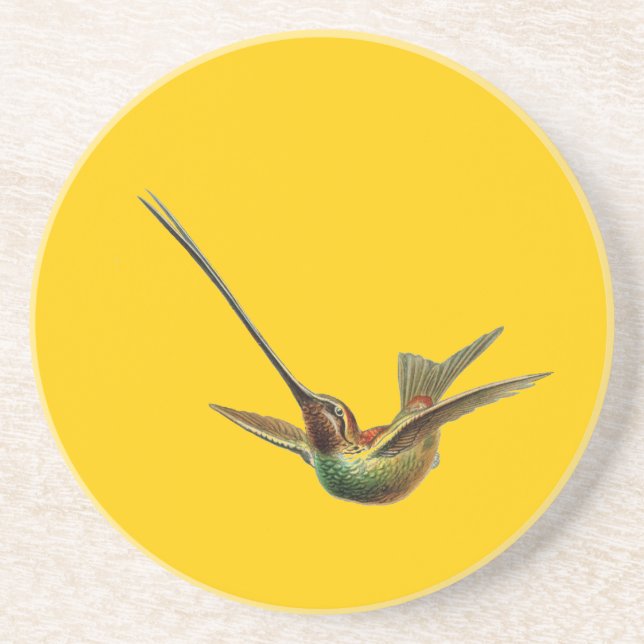 Haeckel Bird Underlägg Sandsten (Framsidan)