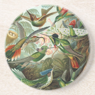 Haeckel Birds Underlägg