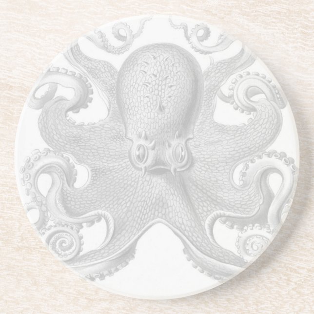 Haeckel bläckfiskkustfartyg underlägg sandsten (Framsidan)