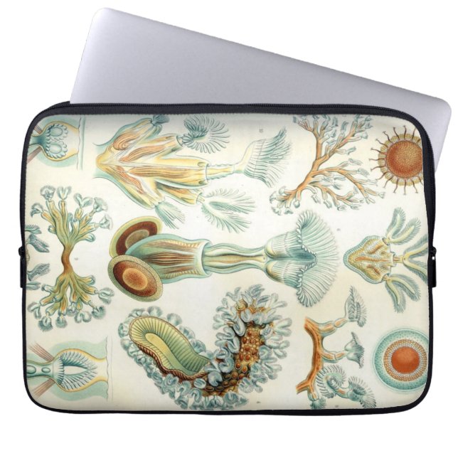 Haeckel Bryozoa Laptop Sleeve (Framsidan)