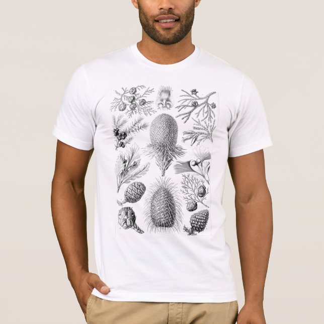 Haeckel Conifer Illustration T-shirt (Framsida)