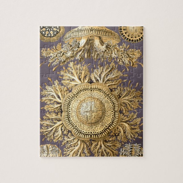 Haeckel Discomedusae Pussel (Vertikal)