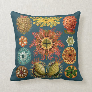 Haeckel Echinoderm kudde teal
