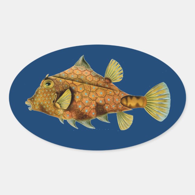 Haeckel Fish Ovalt Klistermärke (Framsida)