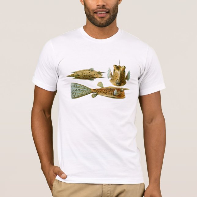 Haeckel Fish Tee Shirt (Framsida)