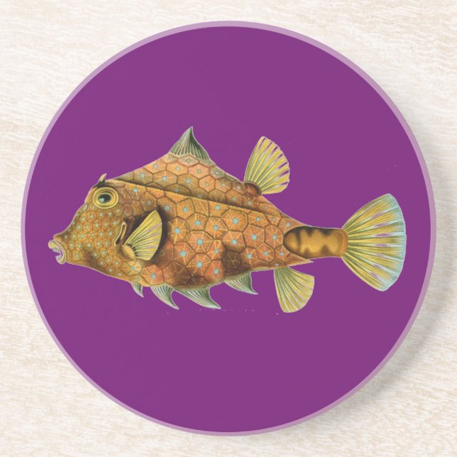 Haeckel Fish Underlägg (Framsidan)