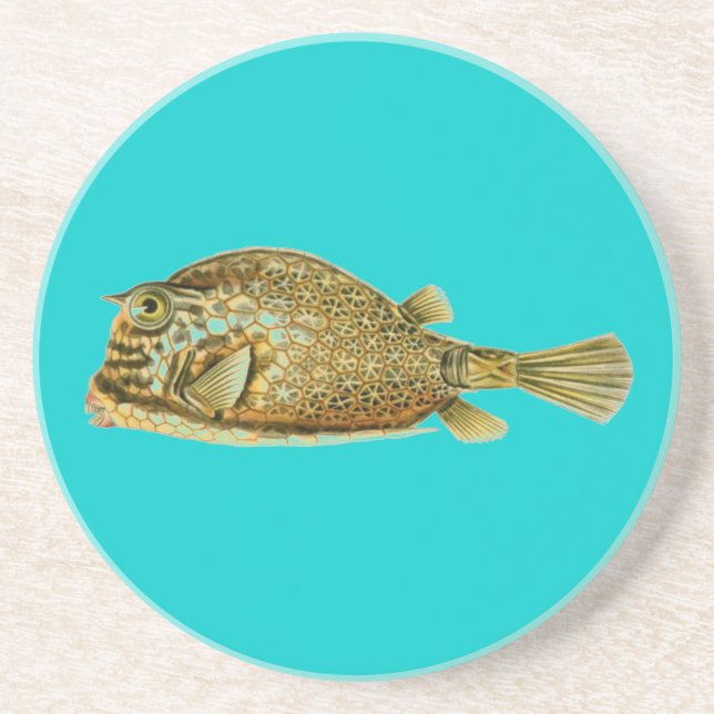 Haeckel Fish Underlägg (Framsidan)