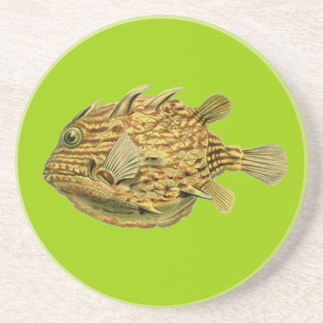 Haeckel Fisk Underlägg (Framsidan)
