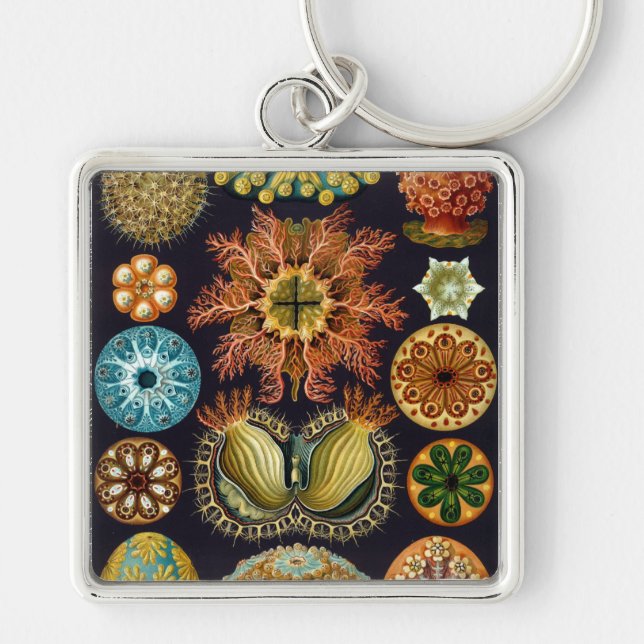 Haeckel Fyrkantig Silverfärgad Nyckelring (Framsidan)