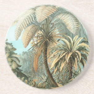 Haeckel Handflatan Träd Underlägg