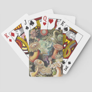 Haeckel Havsanemoner Marin konst collage Casinokort