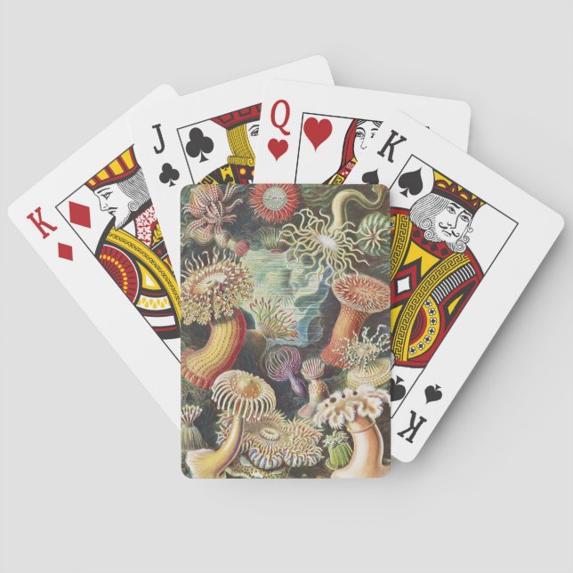 Haeckel Havsanemoner Marin konst collage Casinokort (Baksidan)