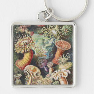 Haeckel Havsanemoner Marin konst collage Fyrkantig Silverfärgad Nyckelring