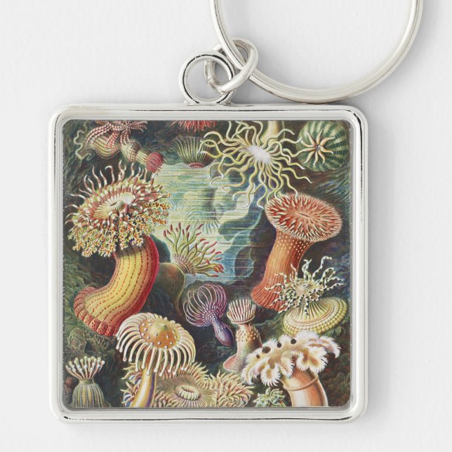 Haeckel Havsanemoner Marin konst collage Fyrkantig Silverfärgad Nyckelring (Framsidan)