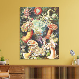 Haeckel Havsanemoner Nautisk Havsliv Konst Collage Canvastryck