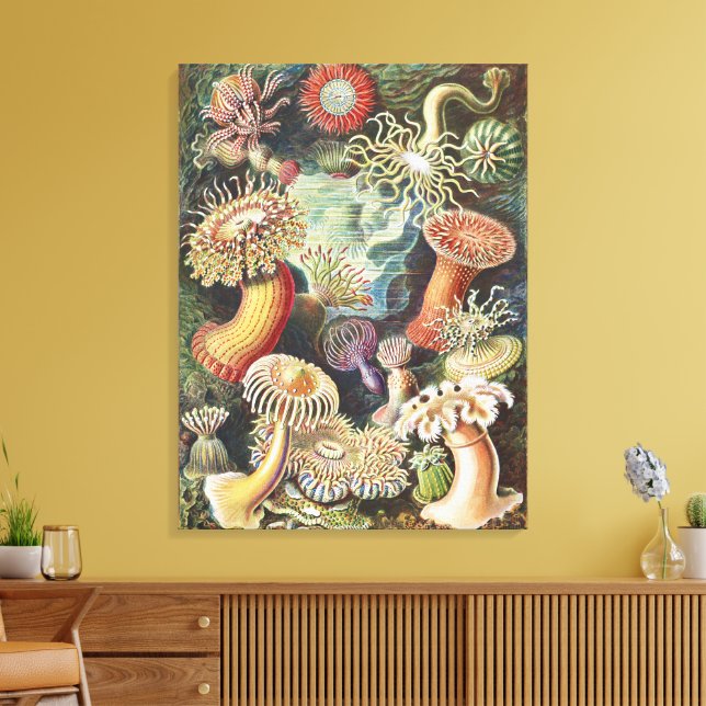 Haeckel Havsanemoner Nautisk Havsliv Konst Collage Canvastryck (Insitu (Vardagsrum))