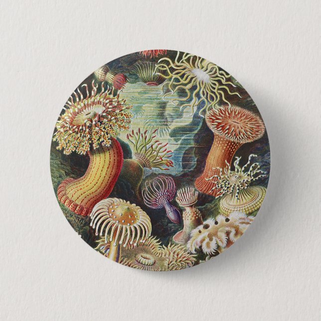 Haeckel Havsanemoner Nautisk Havsliv Konst Collage Knapp (Framsida)