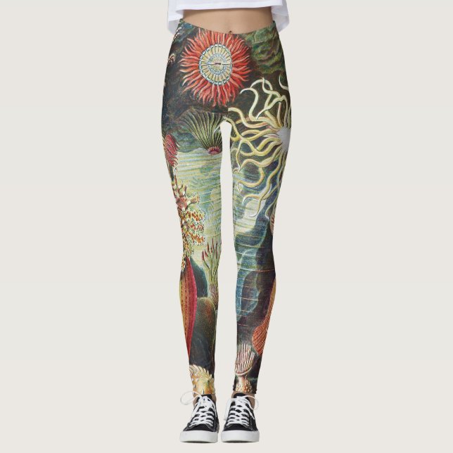Haeckel Havsanemoner Nautisk Havsliv Konst Collage Leggings (Framsida)