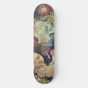 Haeckel Havsanemoner Nautisk Havsliv Konst Collage Mini Skateboard Bräda 18,5 Cm