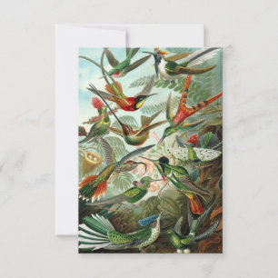 Haeckel Hummingbird all-tillfälle-hälsningskort Tack Kort