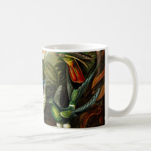 Haeckel Hummingbird Kaffemugg