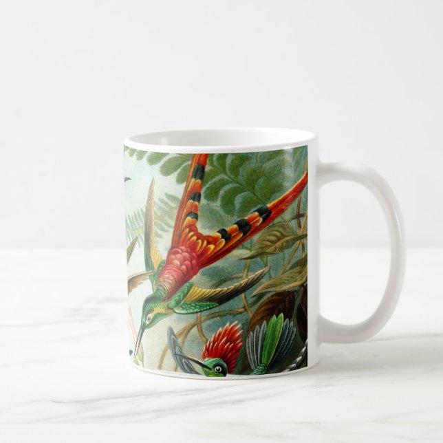 Haeckel Hummingbird Kaffemugg (Höger)