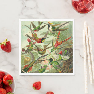 Haeckel Hummingbird Ornithological Illustration Pappersservett