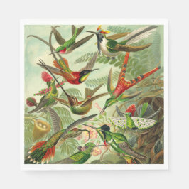 Haeckel Hummingbird Ornithological Illustration Pappersservett