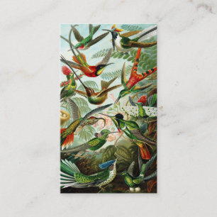 Haeckel Hummingbird Visitkort