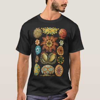 Haeckel Illustration T Shirt