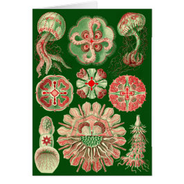 Haeckel Jellyfish Illustration All-Tillfälle Hälsningskort