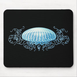 Haeckel Jellyfish Musmatta