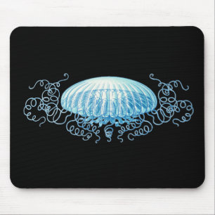 Haeckel Jellyfish Musmatta