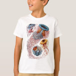 Haeckel Jellyfish T-shirt<br><div class="desc">Vintage Haeckel illustration av olika typer av maneter</div>