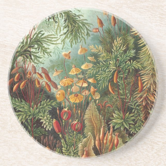 Haeckel Jungle Underlägg Sandsten (Framsidan)