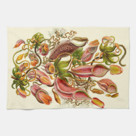 Haeckel Kännarpitcher Botanisk Illustration Kökshandduk
