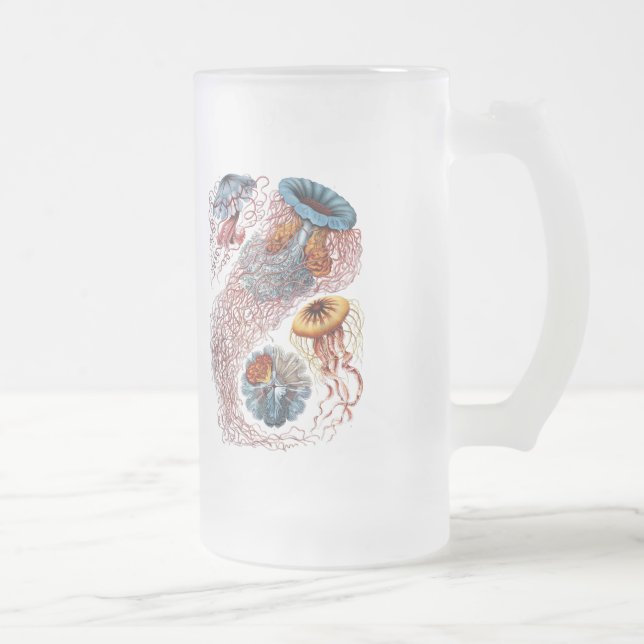 Haeckel manet frostat ölglas (Höger)