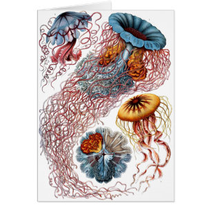 Haeckel manet hälsningskort