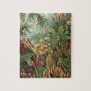 Haeckel Moss Grass Mushroom-målning Pussel