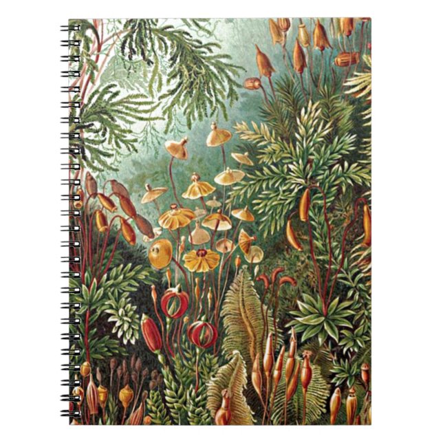 Haeckel Moss, Grass och Fungus Mushroom Painting Anteckningsbok Med Spiral (Framsidan)